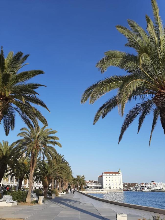 Apartment Sunshine- Center Of Split Eksteriør billede